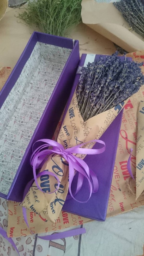 hoa-lavender hoa lavender