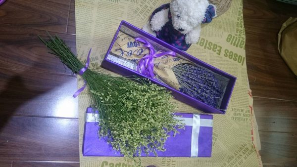 hoa-oai-huong hoa oải hương