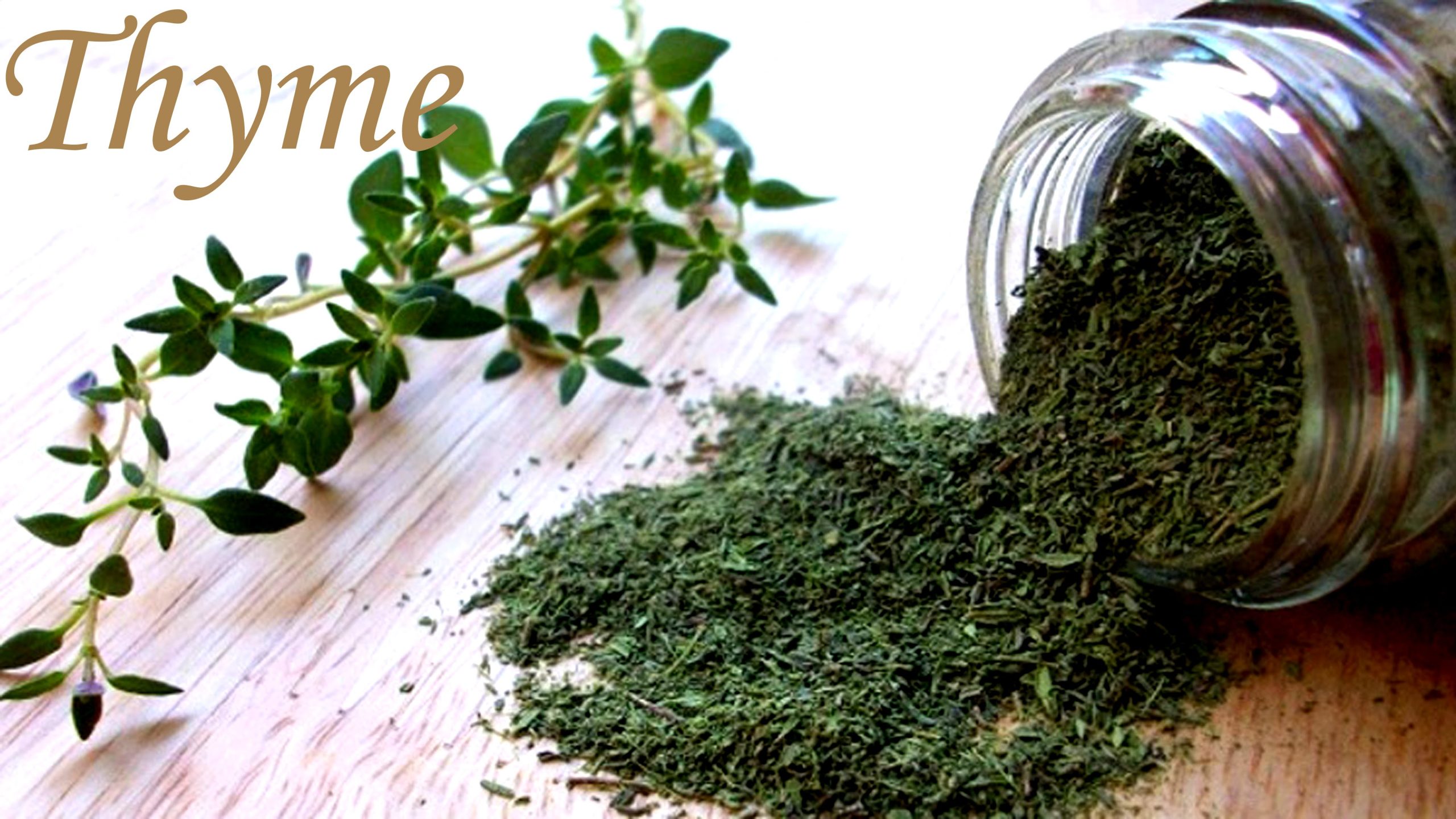 hạt giống cỏ xạ hương