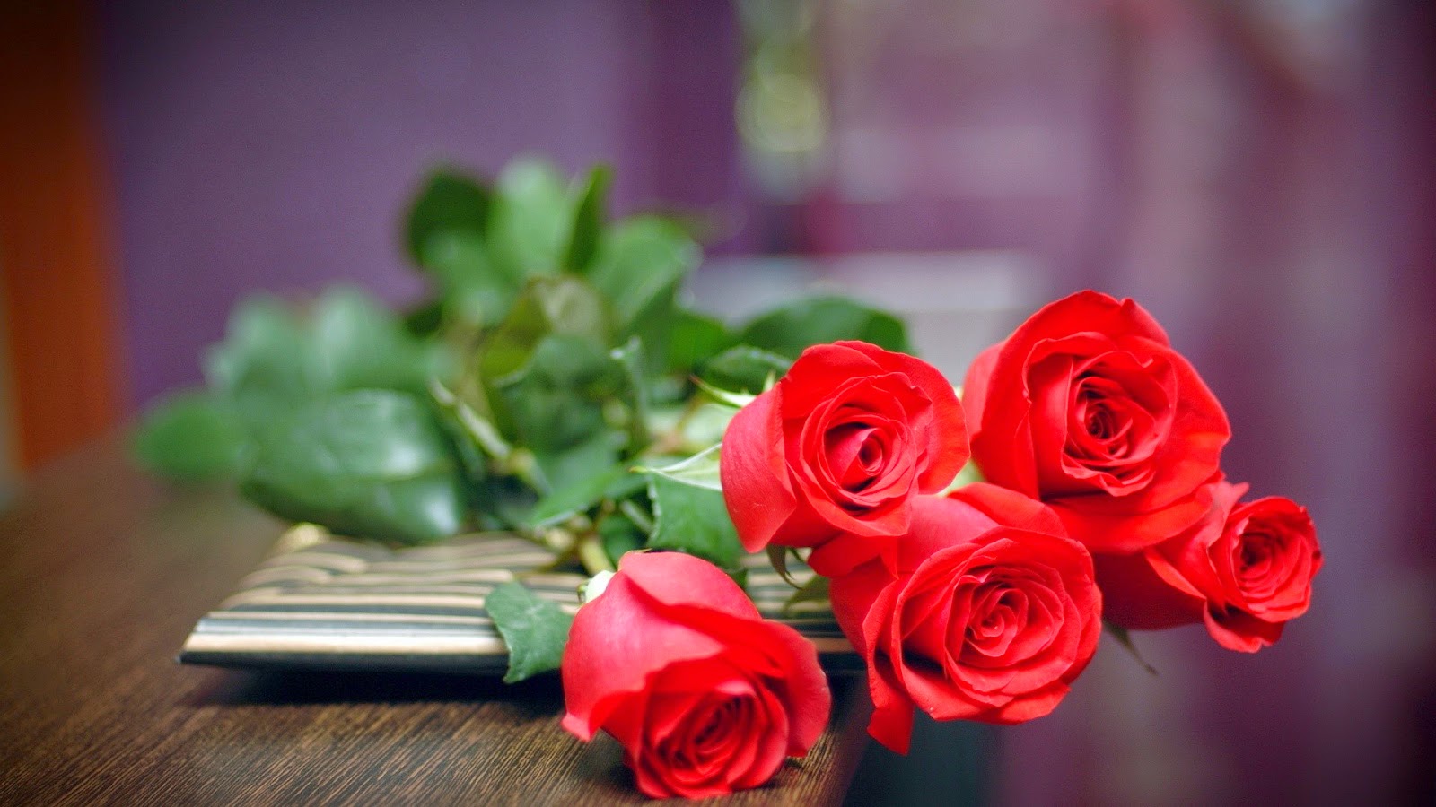 Ý nghĩa hoa hồng đỏ và số lượng hoa nói lên điều gì?