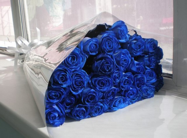 Hoa hồng xanh - hoa của tình yêu bất diệt