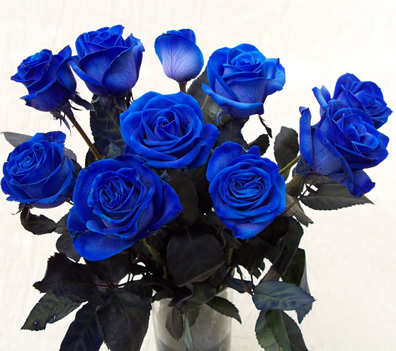 8 lợi ích của hoa hồng đối với sức khỏe và sắc đẹp