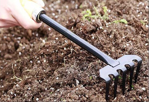 Bộ dụng cụ làm vườn cần thiết dành cho người trồng cây